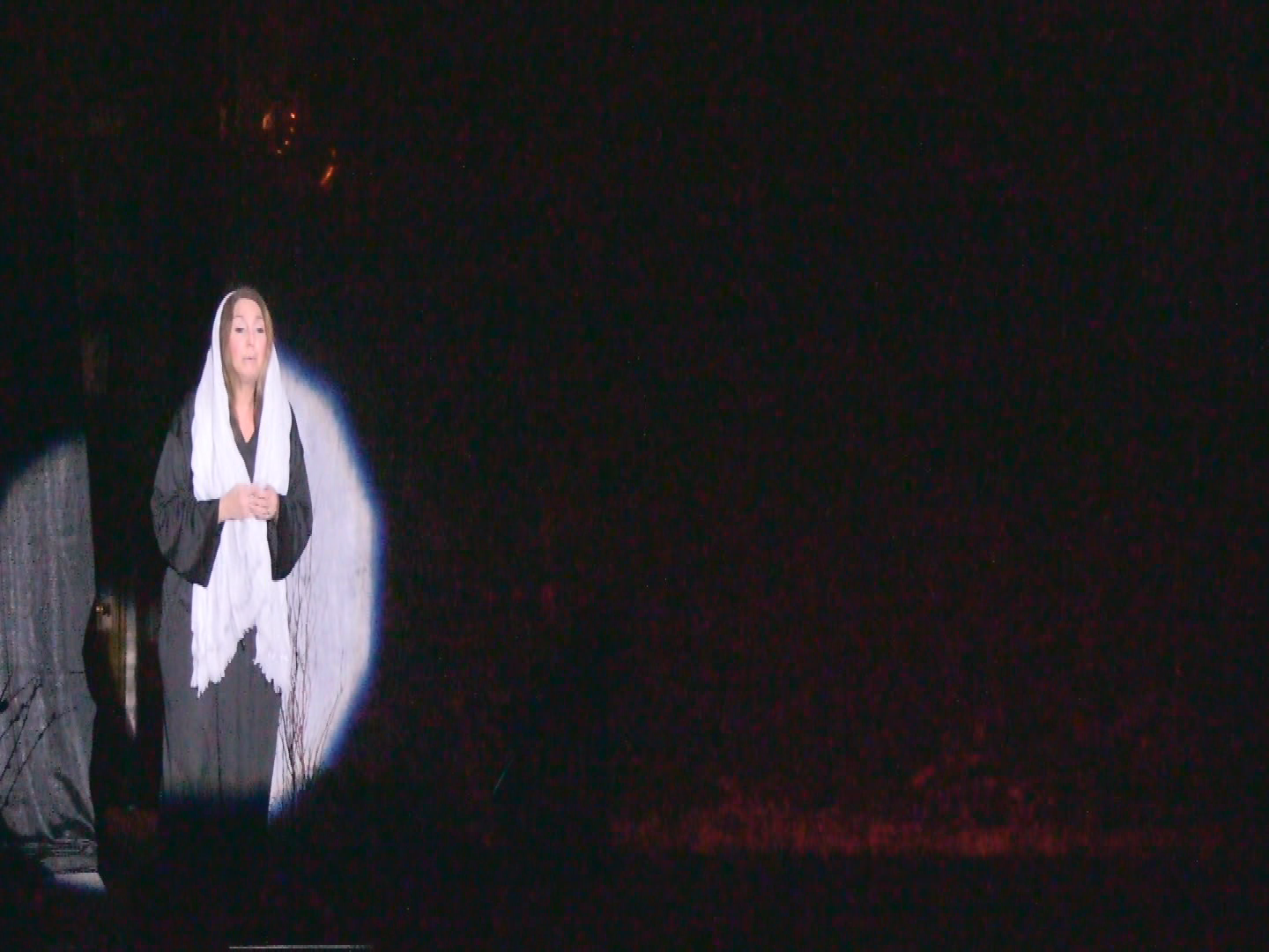 Thumbnail image for Our Lady of Good Counsel - "Perfect Love" 2017