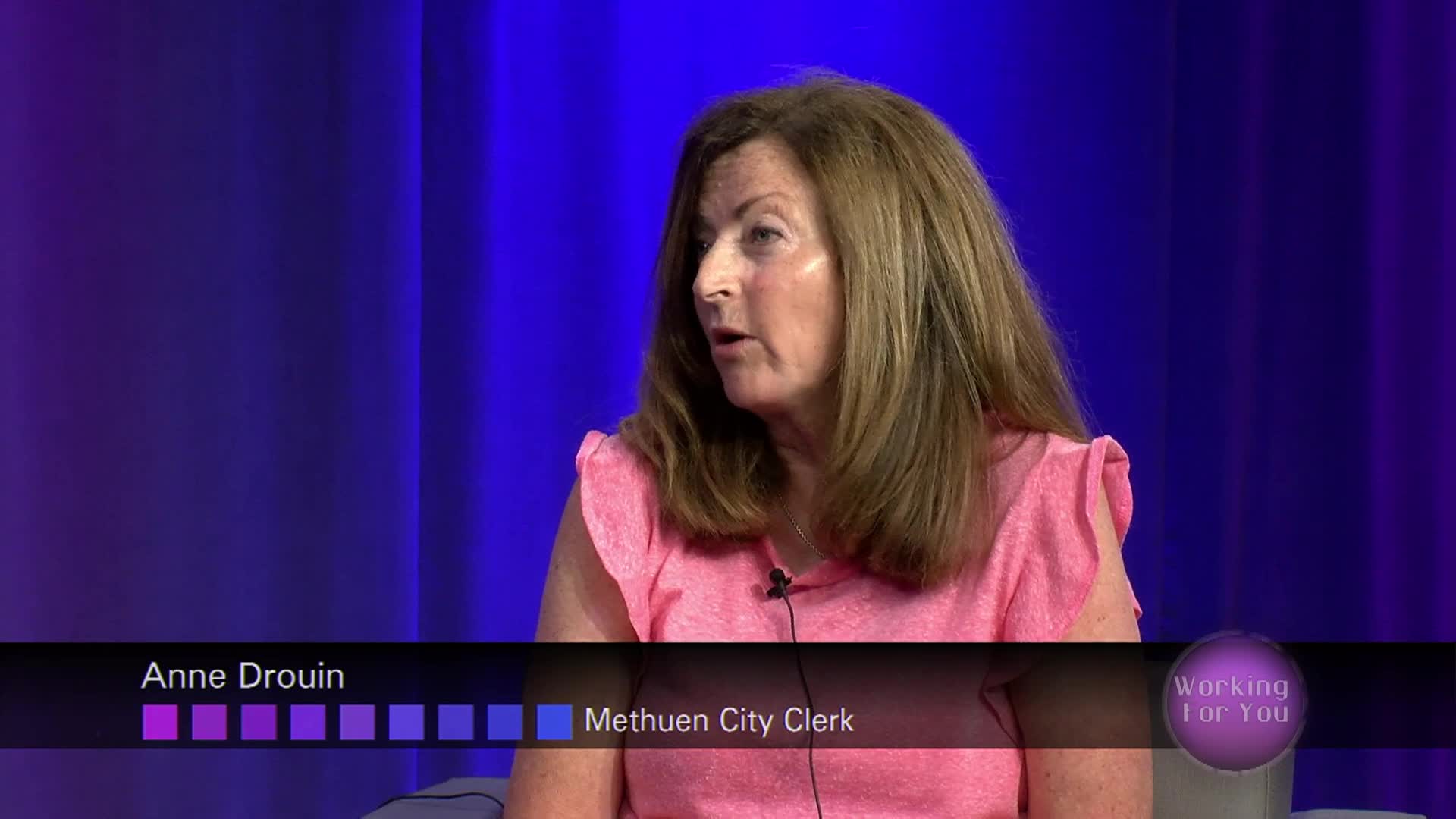 Thumbnail image for Working For You - Voting 2024