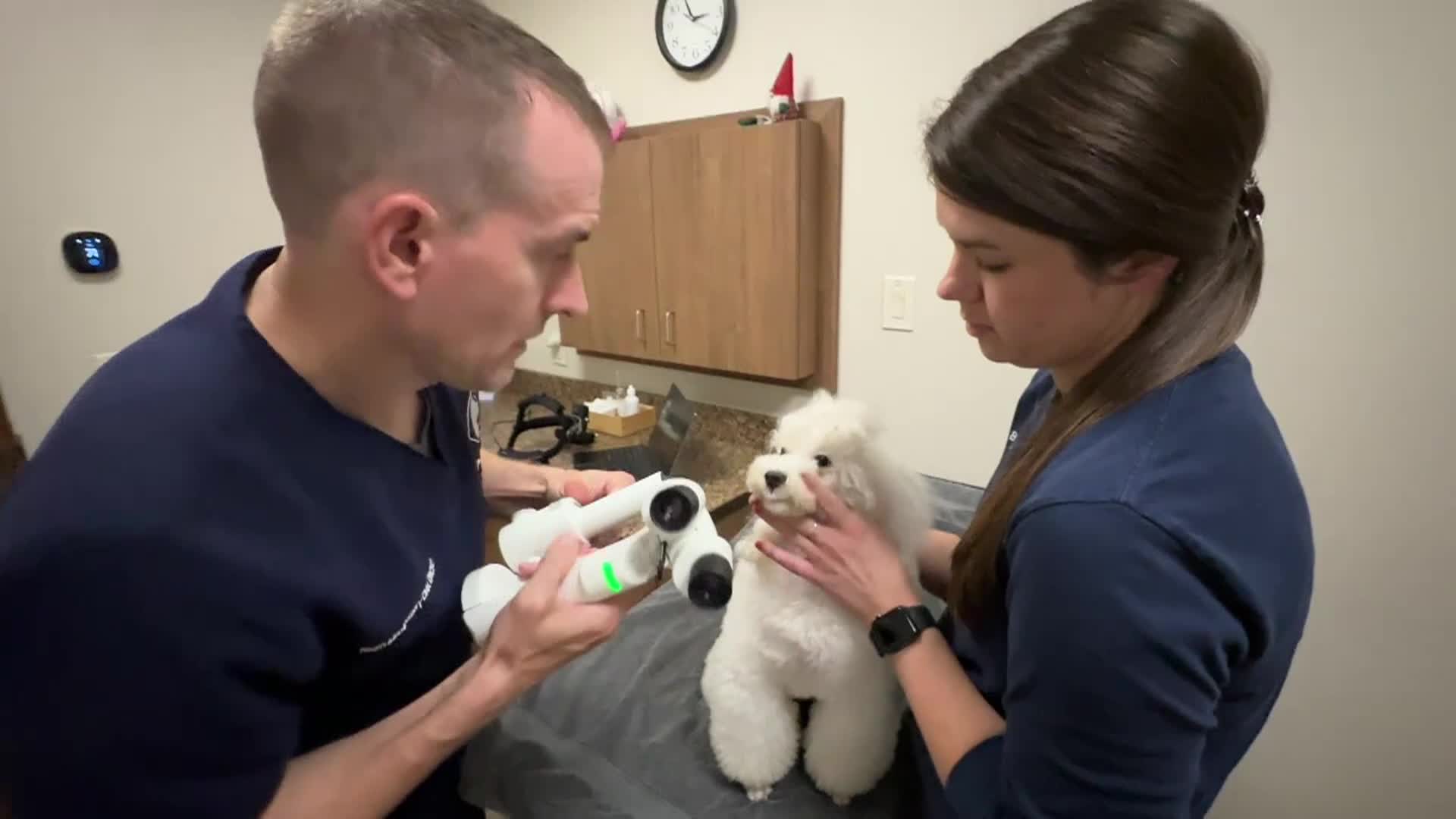 Thumbnail image for Groom U #44 Nov. 2024 - Veterinary Opthomologist