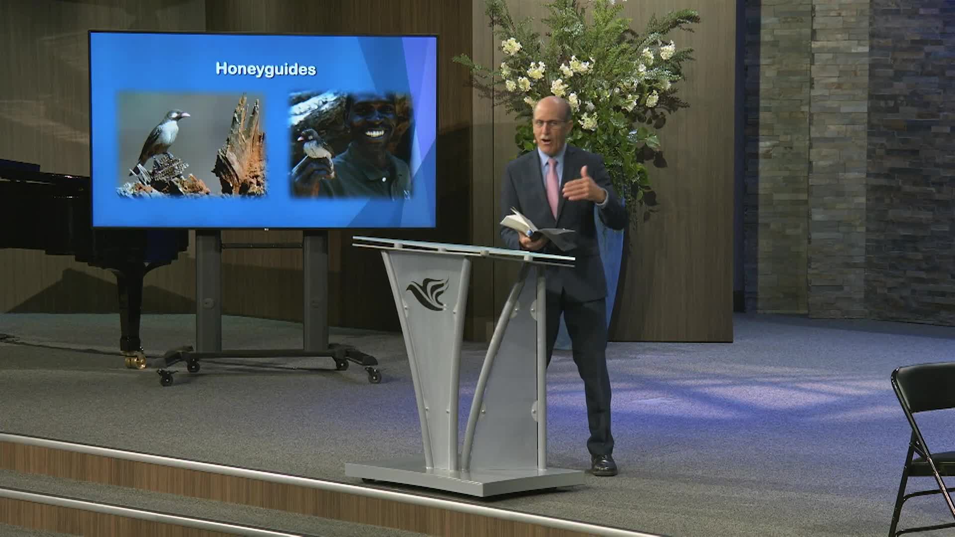 Thumbnail image for Amazing Facts - A Portrait of Mary