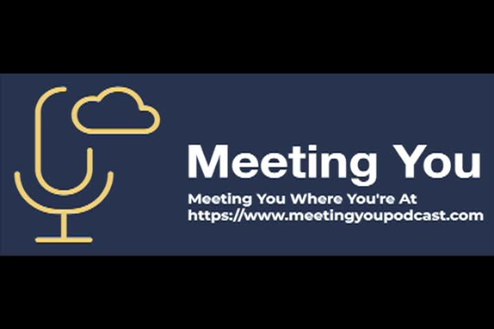 Thumbnail image for Meeting You - Tiffany Wilson