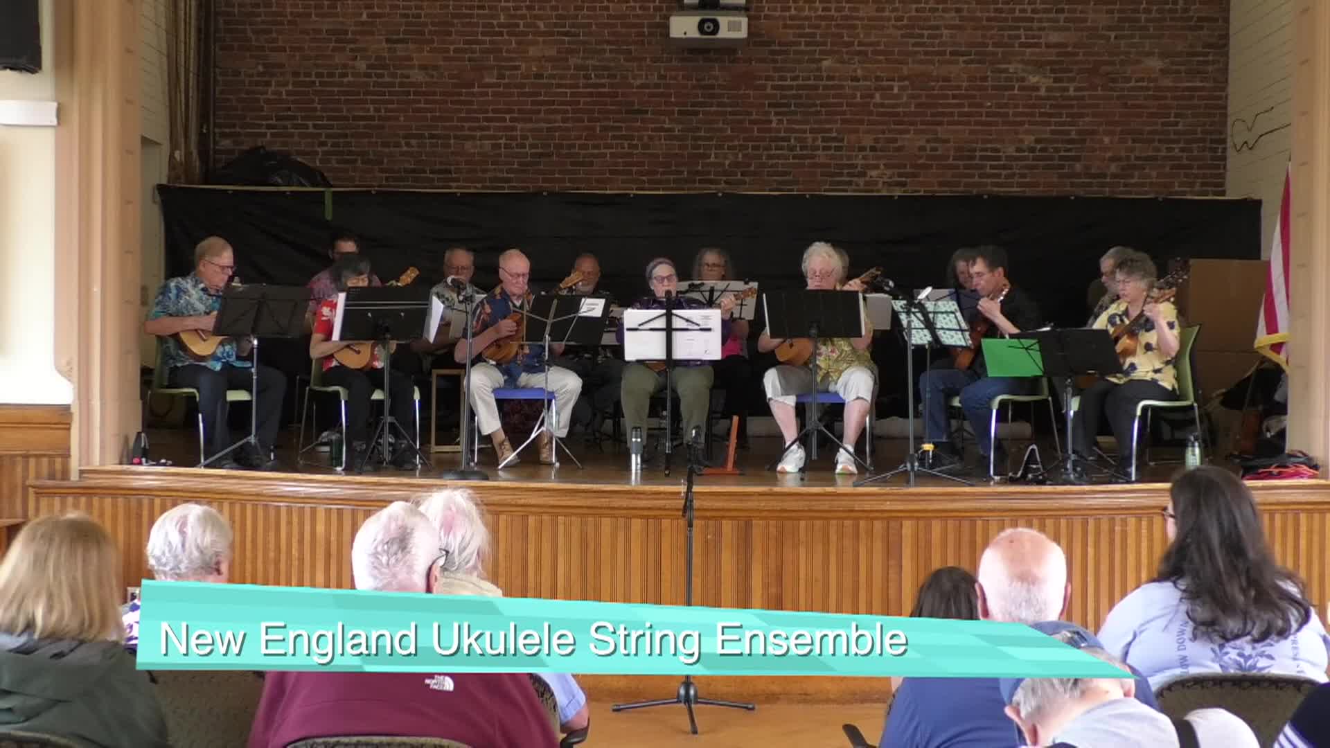 Thumbnail image for Nevins Memorial Library - NE Ukulele String Ensemble Spring Concert 2025