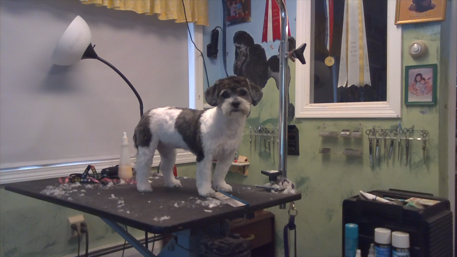 Thumbnail image for Groom U #19