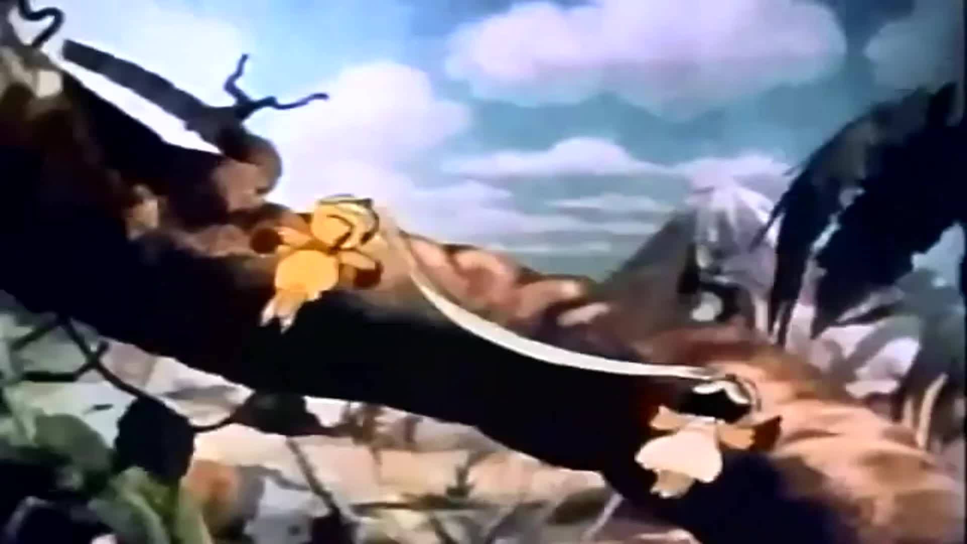 Thumbnail image for Hawaiian Birds