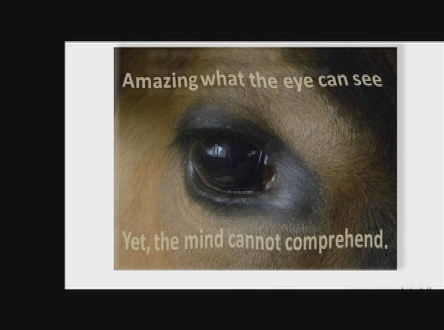 Thumbnail image for GreyCourt Poets -Ways of Looking