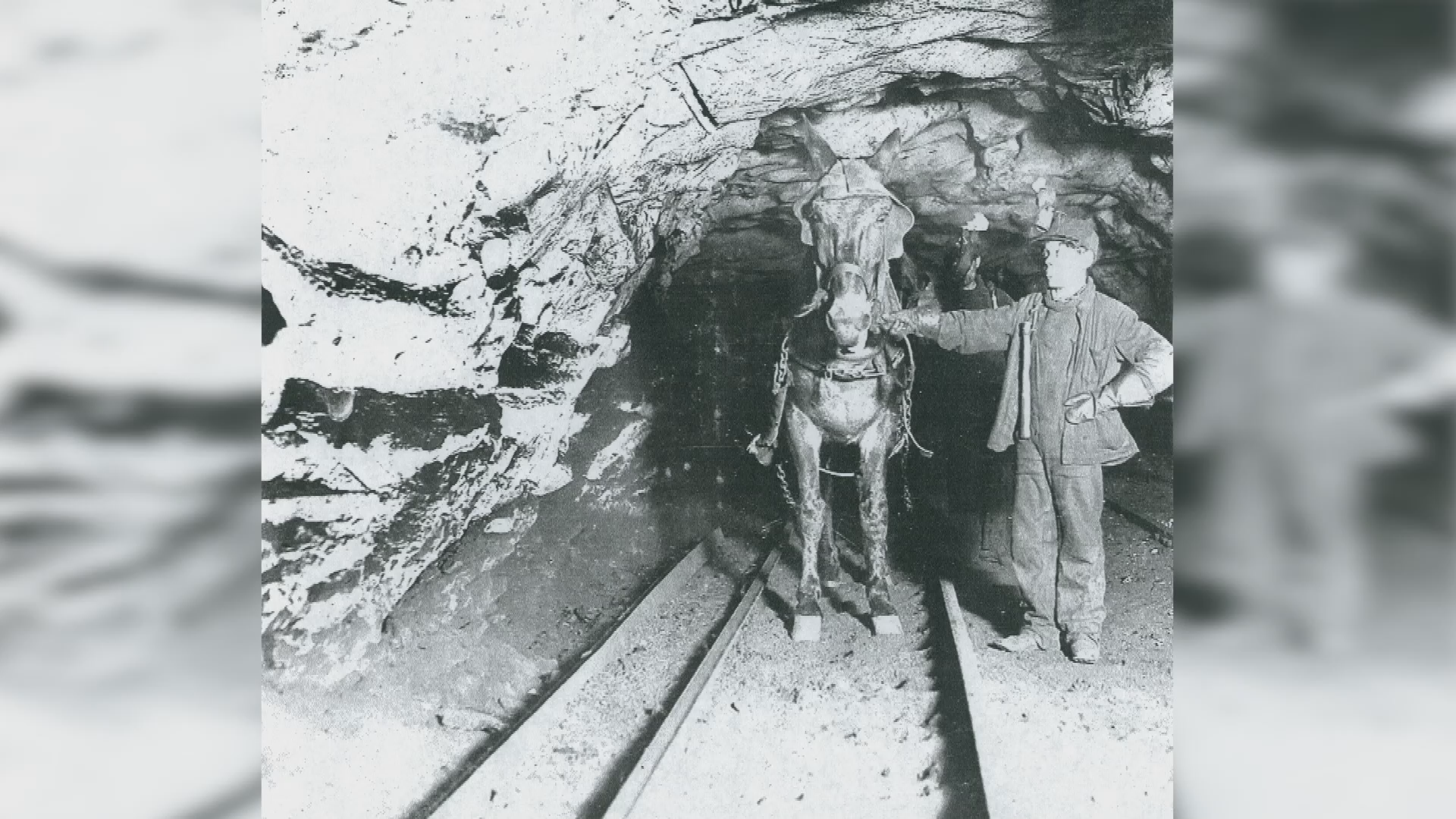 Thumbnail image for Family Historian - Finding Your Miner Ancestor