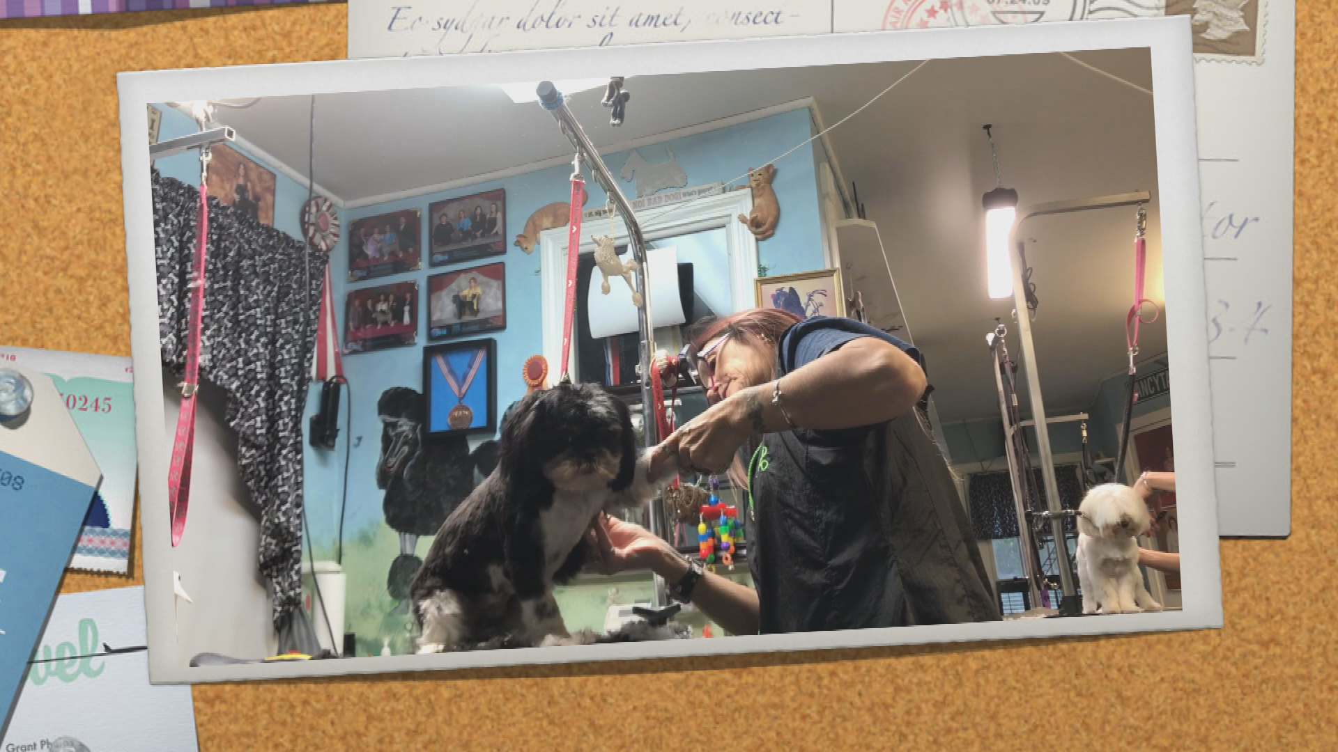 Thumbnail image for Groom U #25 (May 2020)