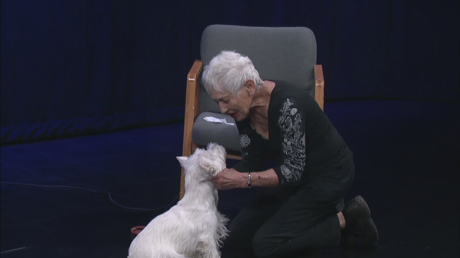 Thumbnail image for Groom U - Behavioral Training P1