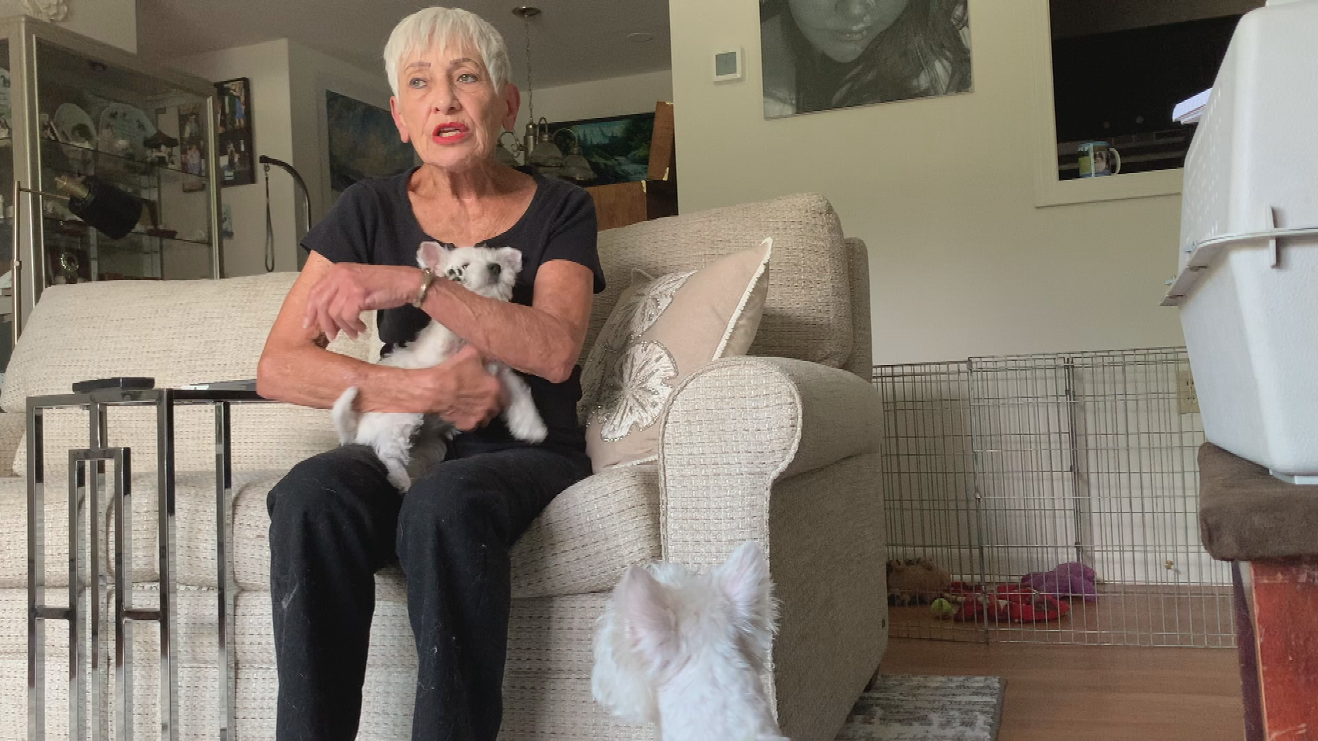 Thumbnail image for Groom U #30 Nancy Cyr Part 2