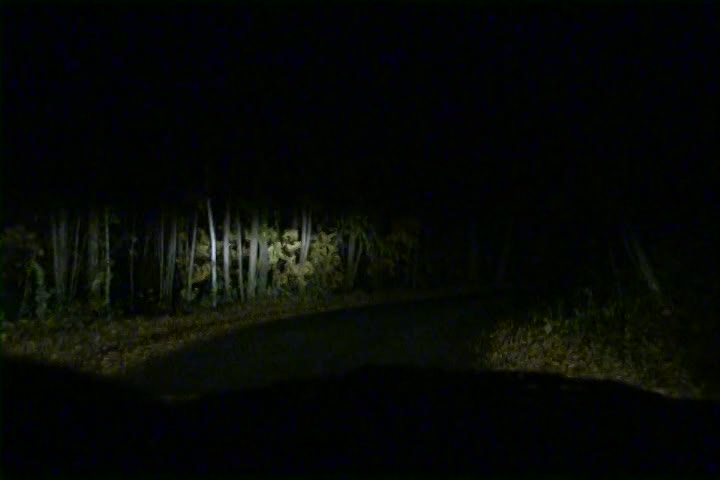 Thumbnail image for The Kids Show - Halloween Scarefest 2012