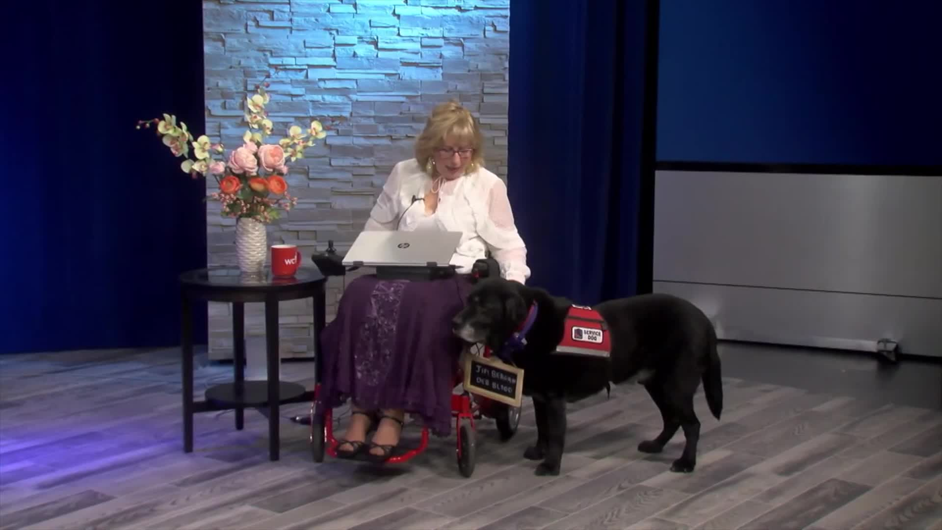 Thumbnail image for Yes We Can - Access Abilities Special