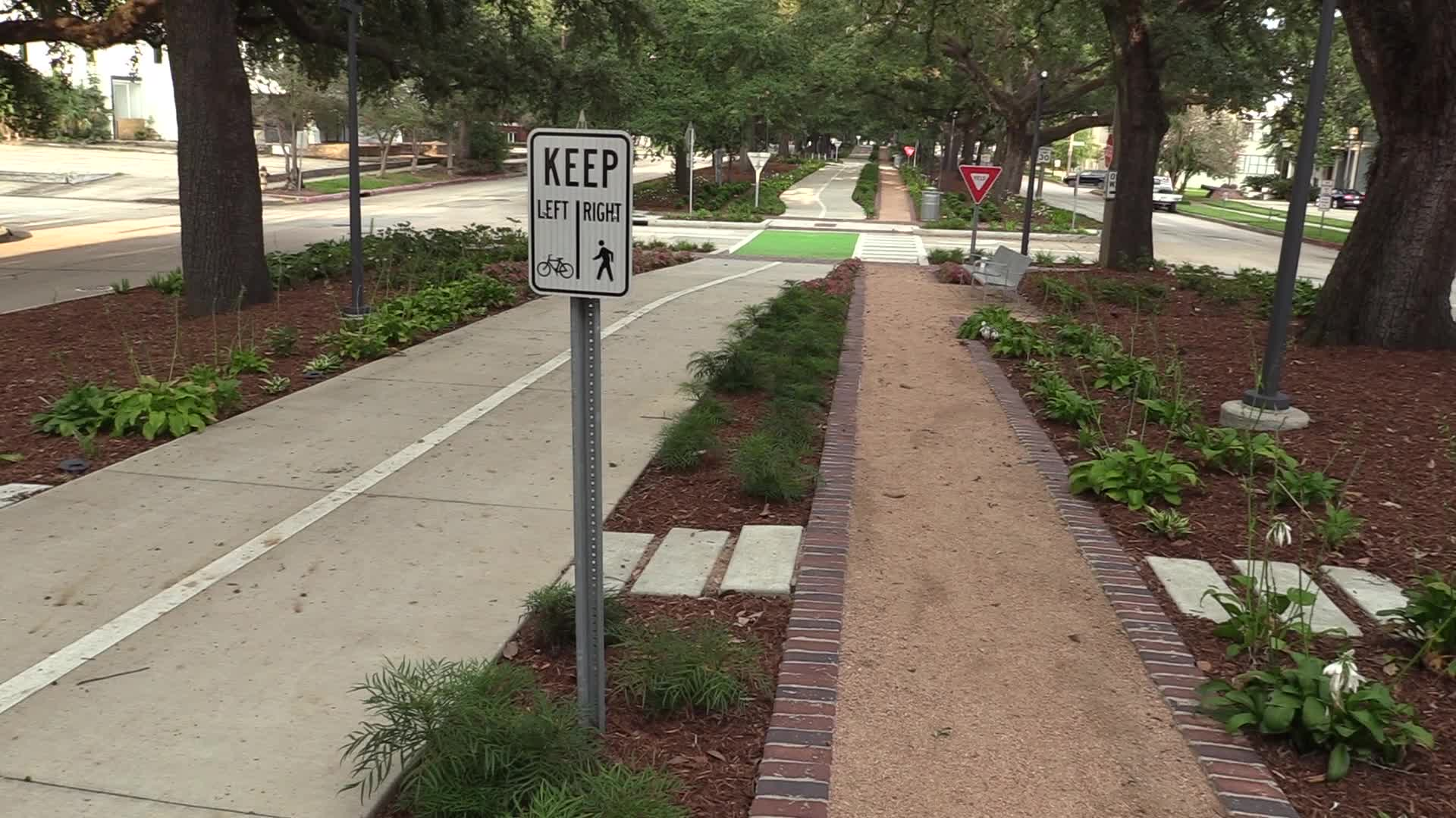 Thumbnail image for Perils For Pedestrians - 272 NTSB Report on Pedestrian Safety