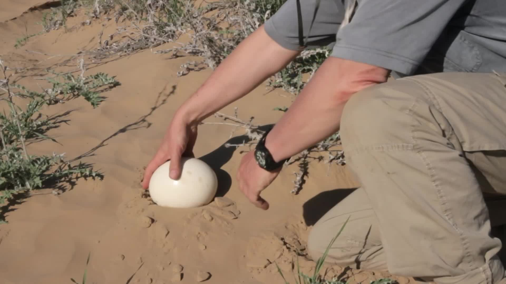 Thumbnail image for Amazing Facts - A Woman in the Wildreness