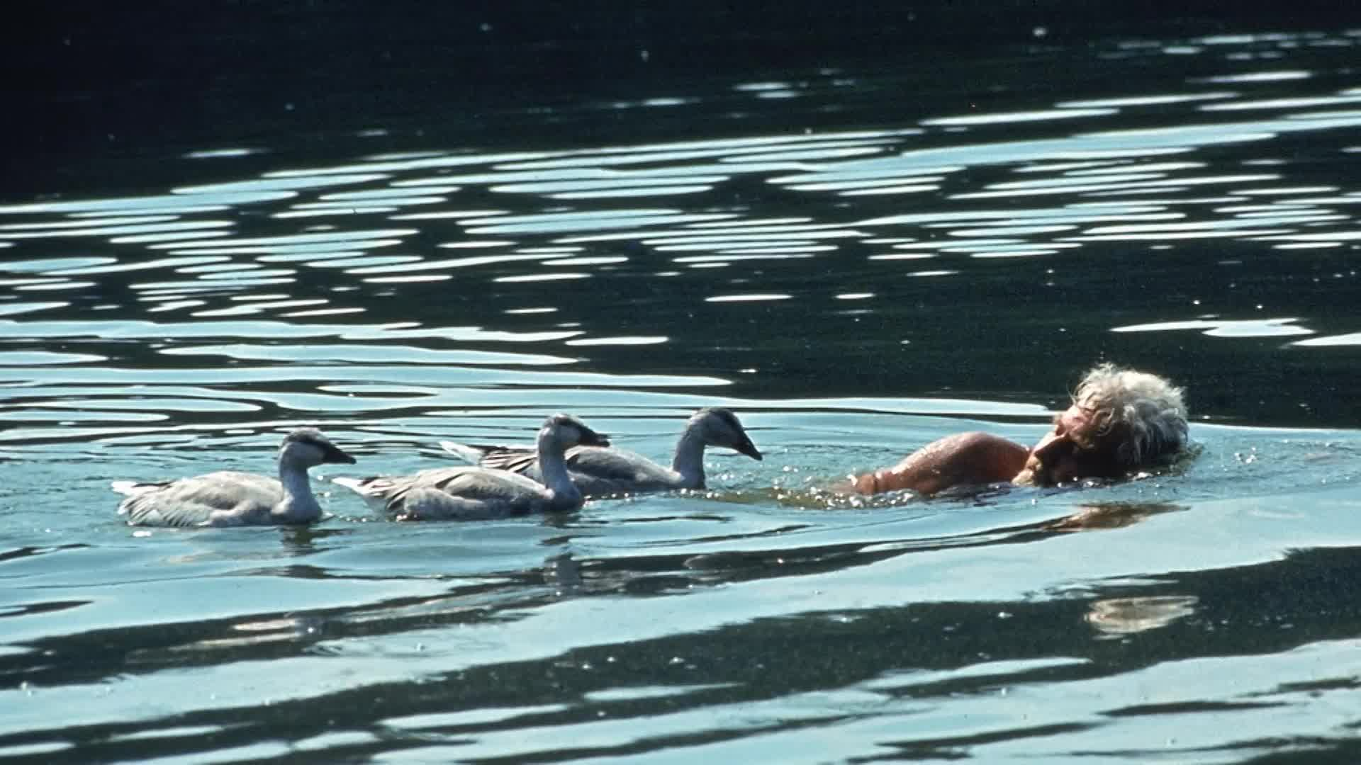 Thumbnail image for Amazing Facts - The King's Ambassador