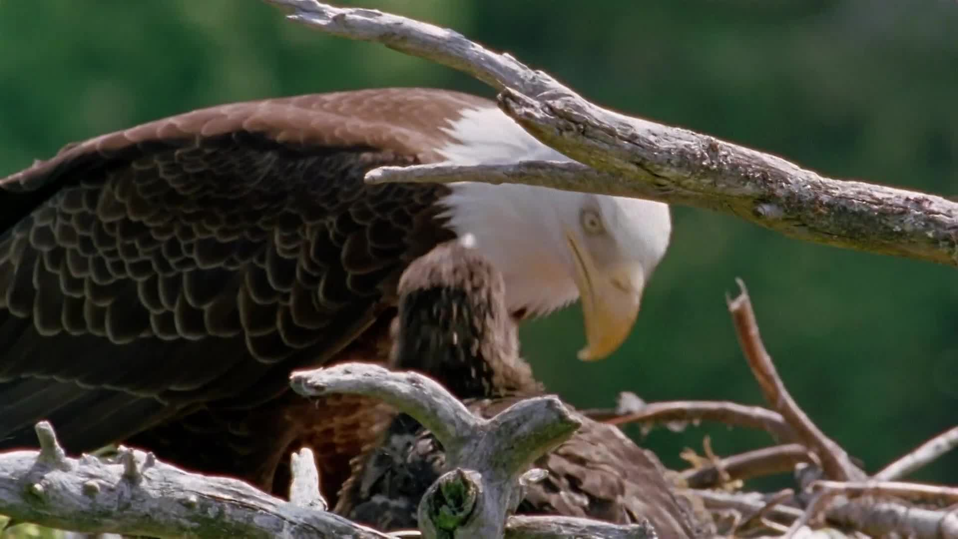 Thumbnail image for Amazing Facts - A Mother Daughter Conspiracy