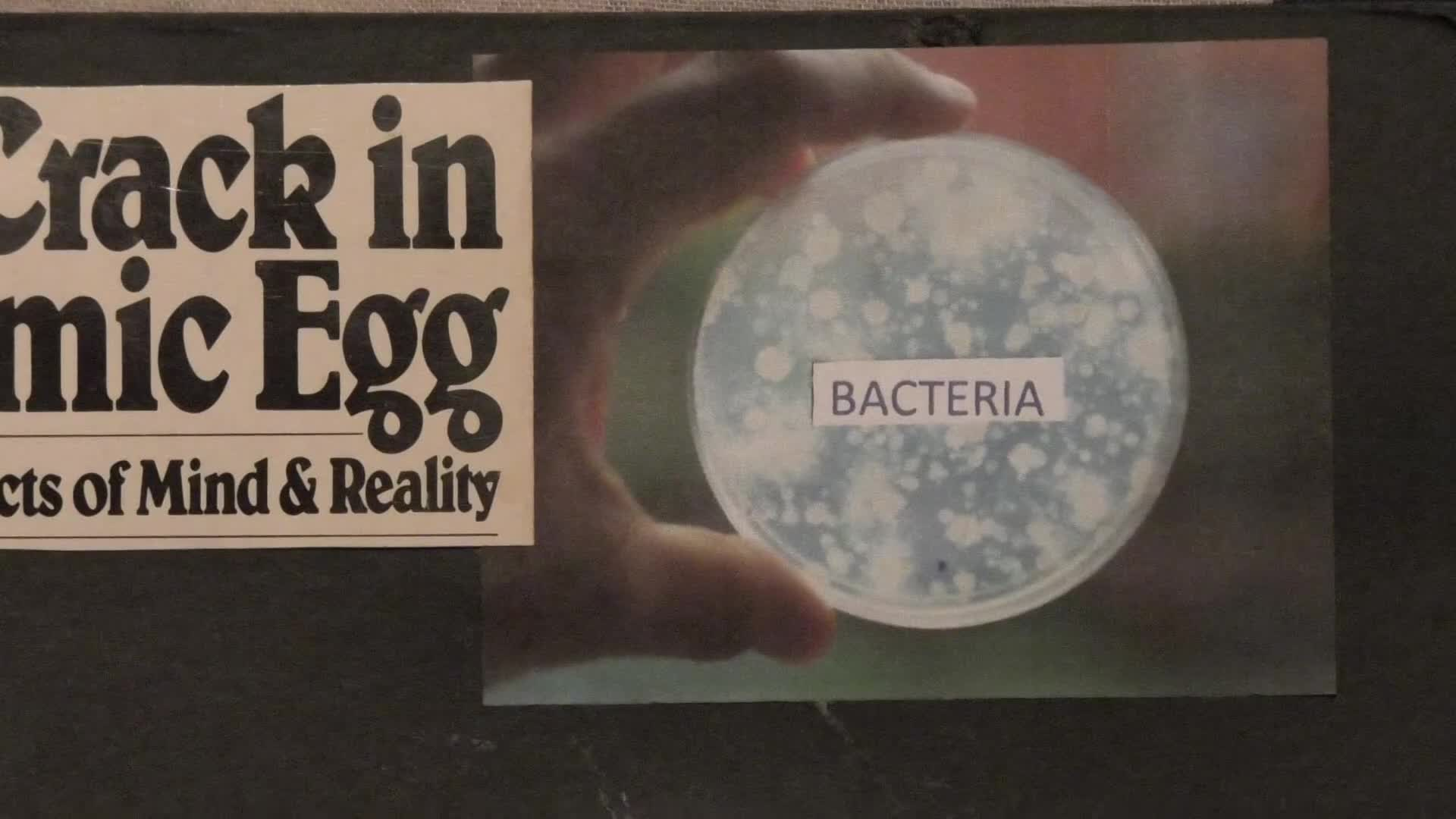 Thumbnail image for The Portal - Red and Blue